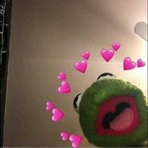 Meet your Posher, Meadow